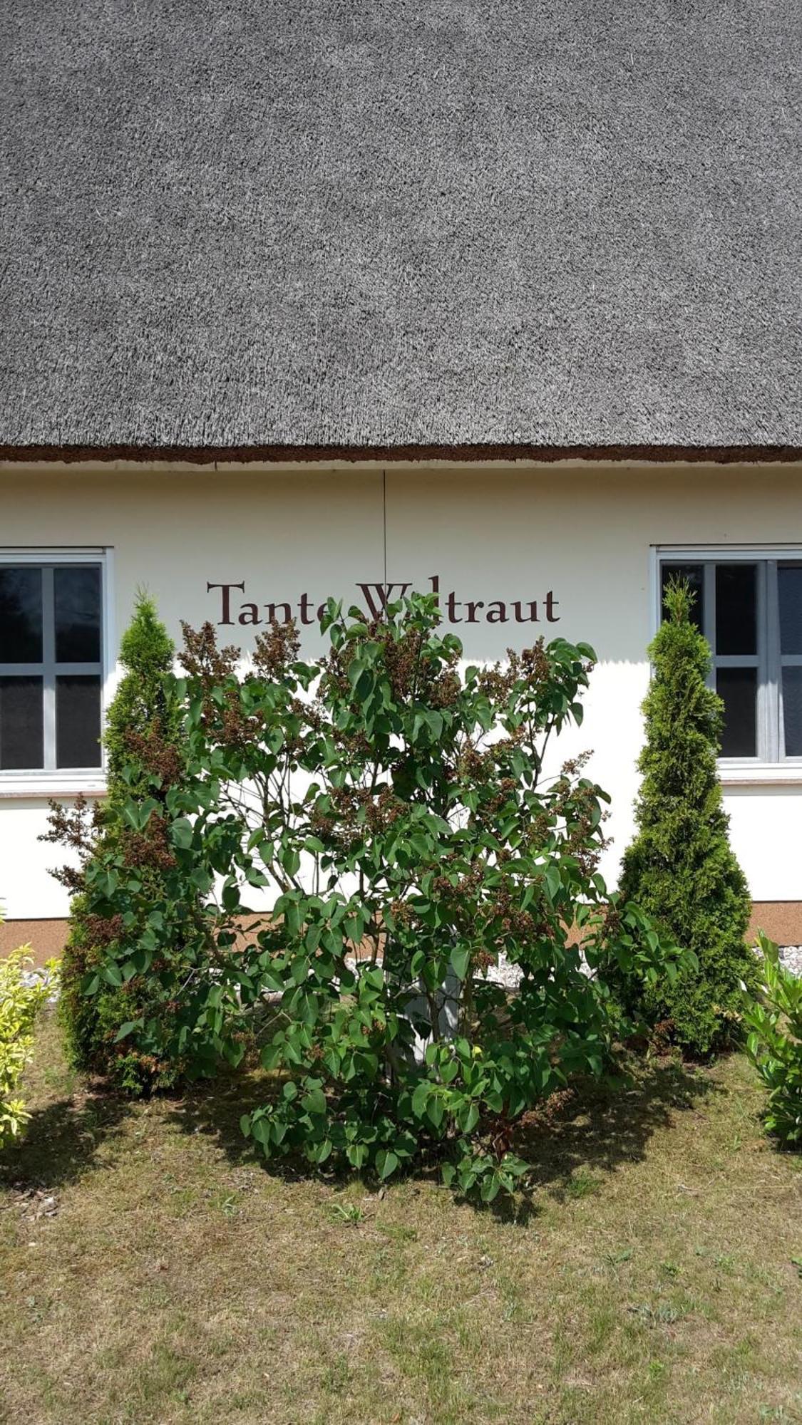 Haeuschen "Tante Waltraut" Villa Garz  Екстериор снимка